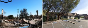 Film and Television Locations Destroyed In The Eaton Fire Photos