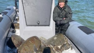 Florida Fish and Wildlife officers rescue sea turtles from frigid Gulf waters after snowstorm