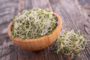 Broccoli Sprouts