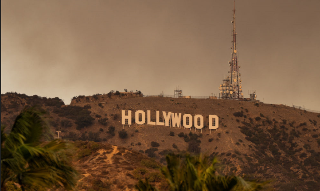 Hollywood Hills Fire Spreads Quickly