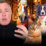 Jeff Corwin displaced animals tmz getty 1