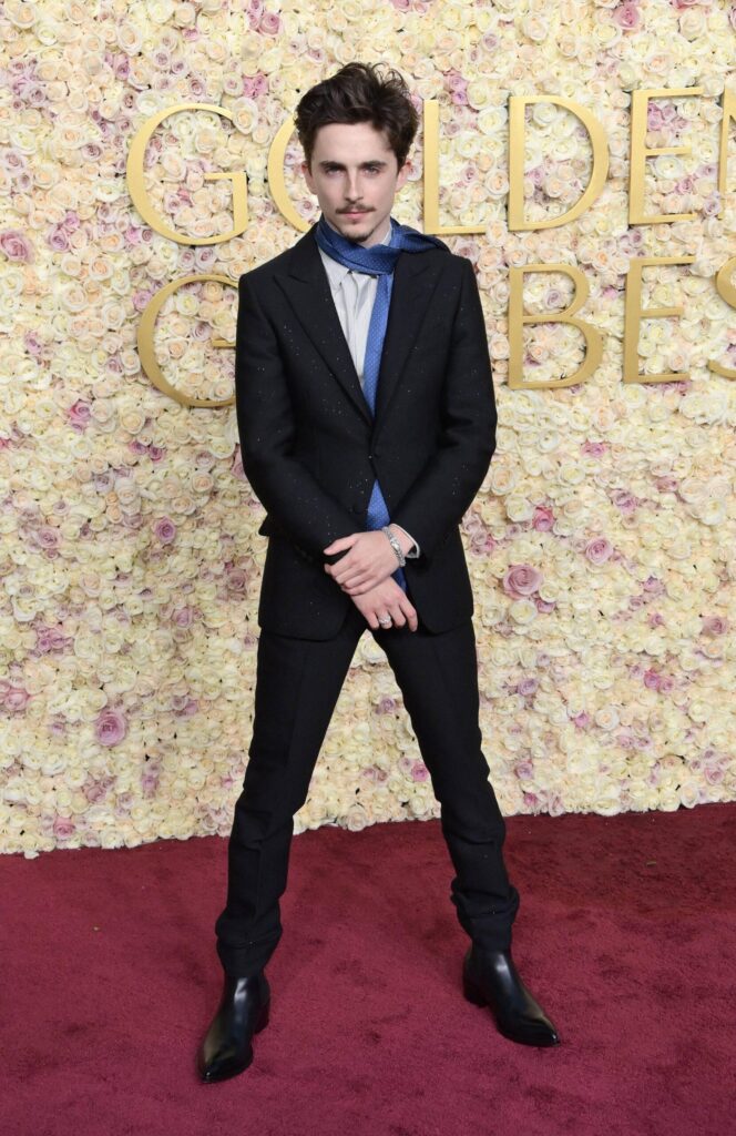 Timothee Chalamet at Golden Globes