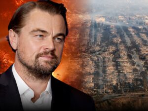 la fires donation leonardo dicaprio