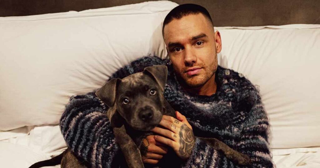 Liam Payne's Tragic Fall Update