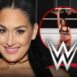 nikki bella wwe