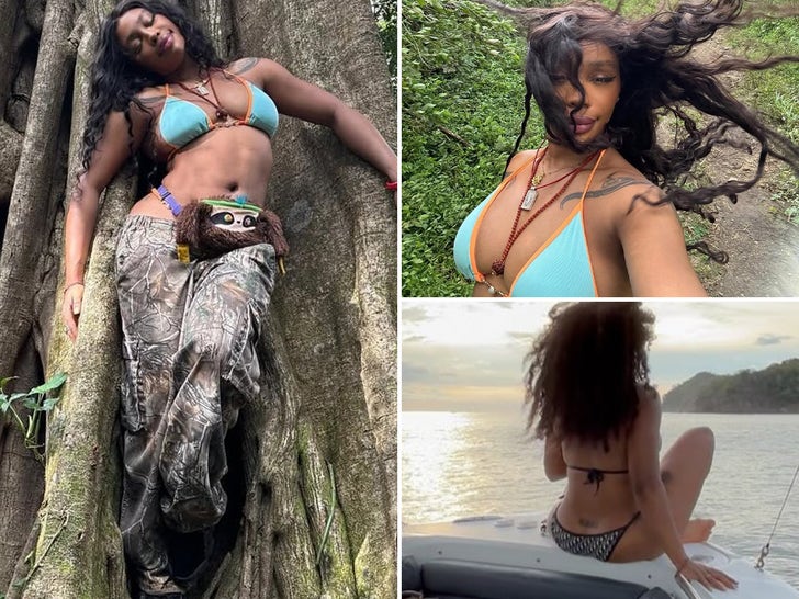 Sza Sizzles In A Bikini On Hot Vacay