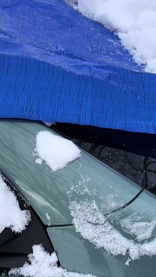 Snow on a car covered with a blue tarp.