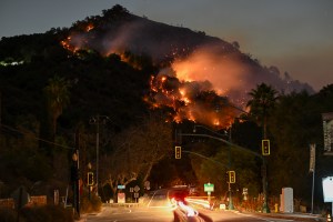 Stephen King Calls For Oscars Cancelation Amid Wildfires