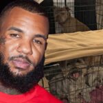 The Game x Cleo's Critter Care