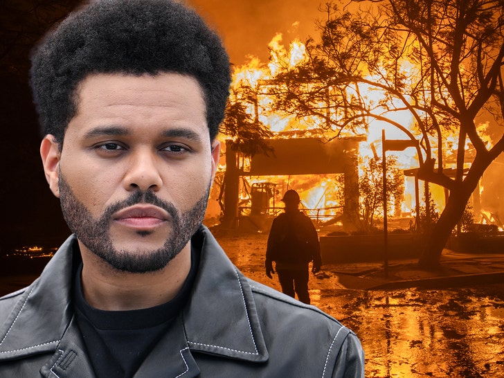 the weeknd donates to the pacific palisades fire