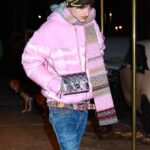 Timothée Chalamet wearing a pink puffer jacket and jeans in New York City.