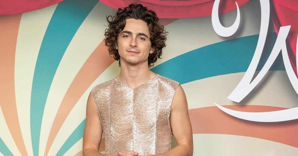 was Timothée Chalamet literally just chosen to play Wonka?