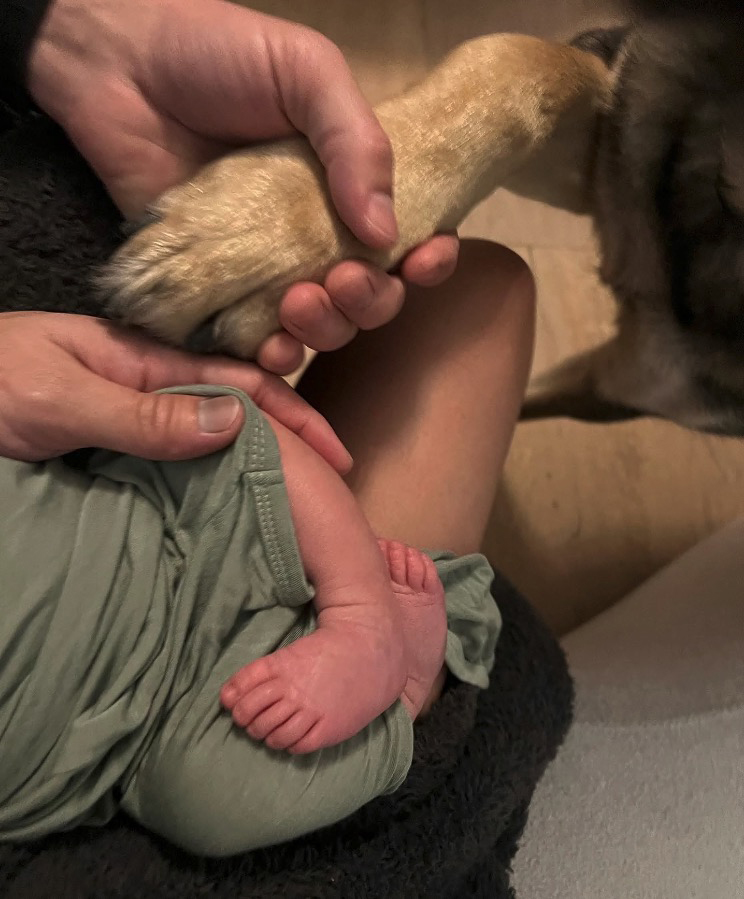 A person holding a newborn baby and a dog's paw.