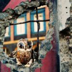 A folkloric miniature of an owl sits in a blown-out wall of a building.