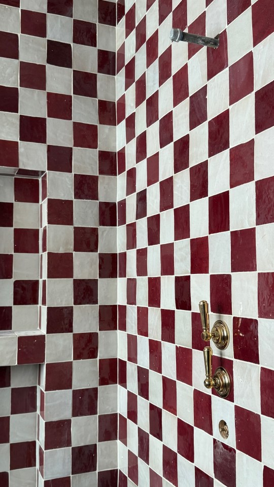 Red and white checkered bathroom tile with gold fixtures.