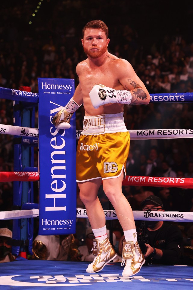 Canelo Álvarez in boxing ring corner.