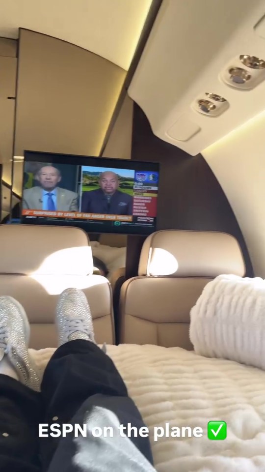 ESPN playing on a private jet.