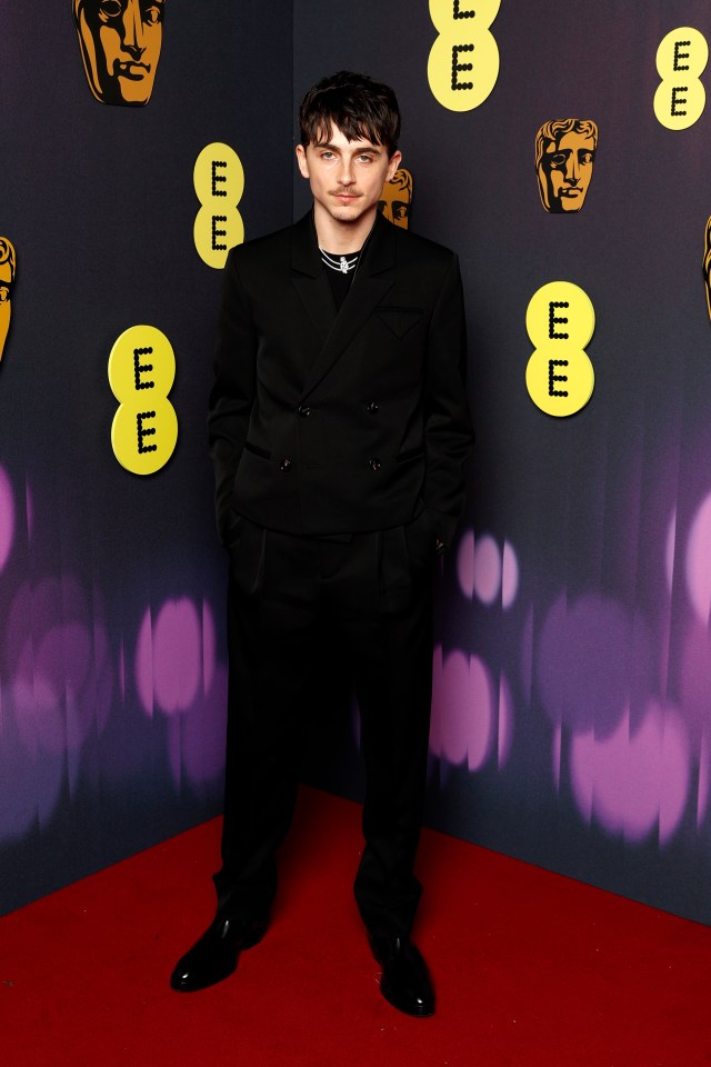 Timothée Chalamet at the EE BAFTA Film Awards.