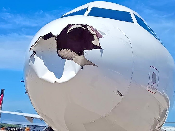 plane forced to land after birdstrike 2