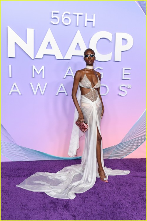 NAACP Image Awards red carpet