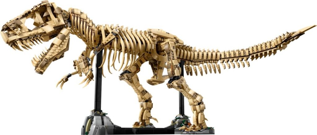 The completed LEGO Jurassic World T-rex fossil build.