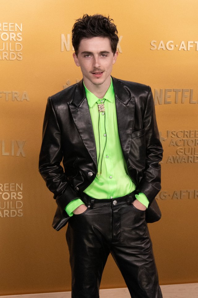 Timothée Chalamet at the SAG Awards.