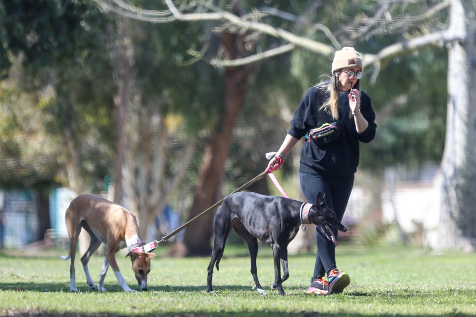 Jenna Marbles walking two dogs in a park.