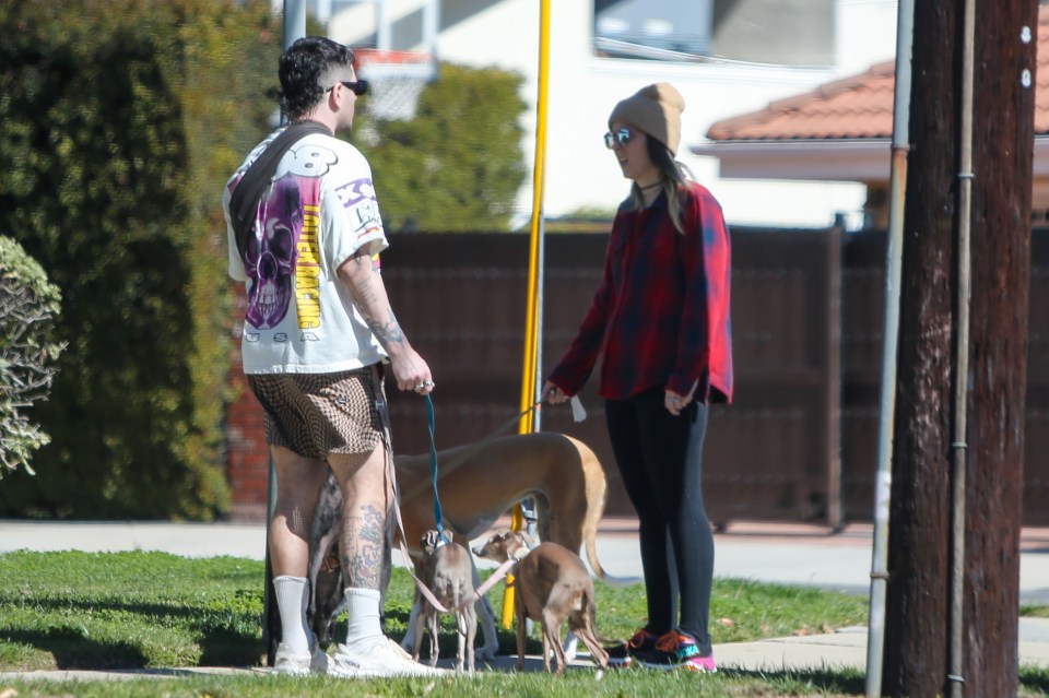 Jenna Marbles and Julien Solomita walking their dogs.