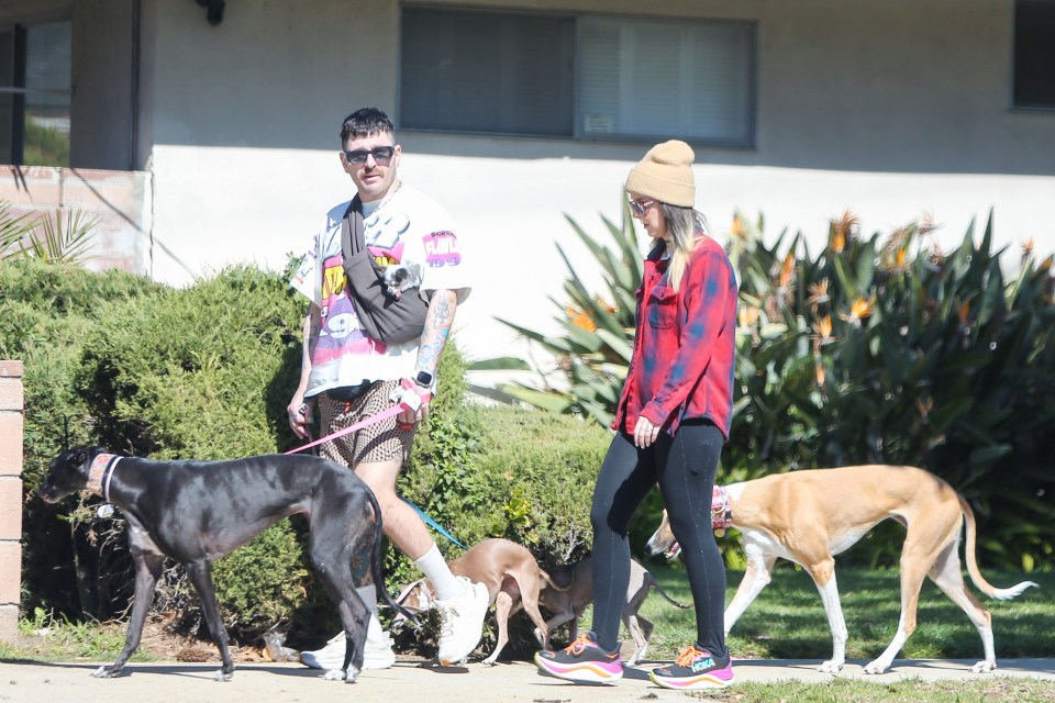 Jenna Marbles and Julien Solomita walking their dogs.