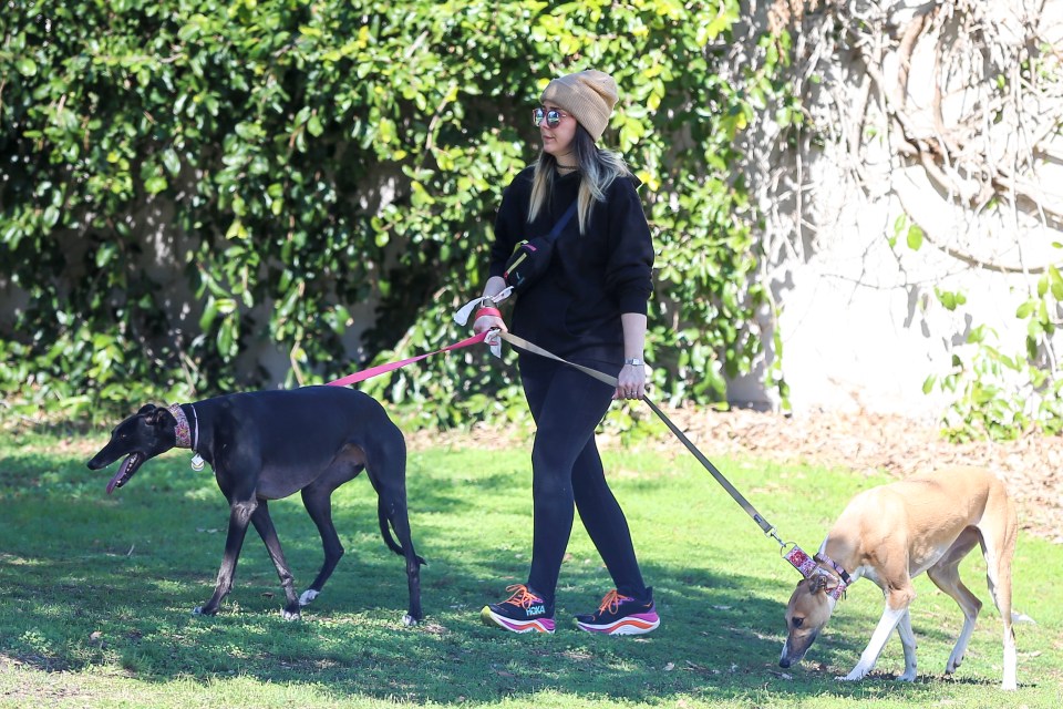 Jenna Marbles walking two dogs in a park.