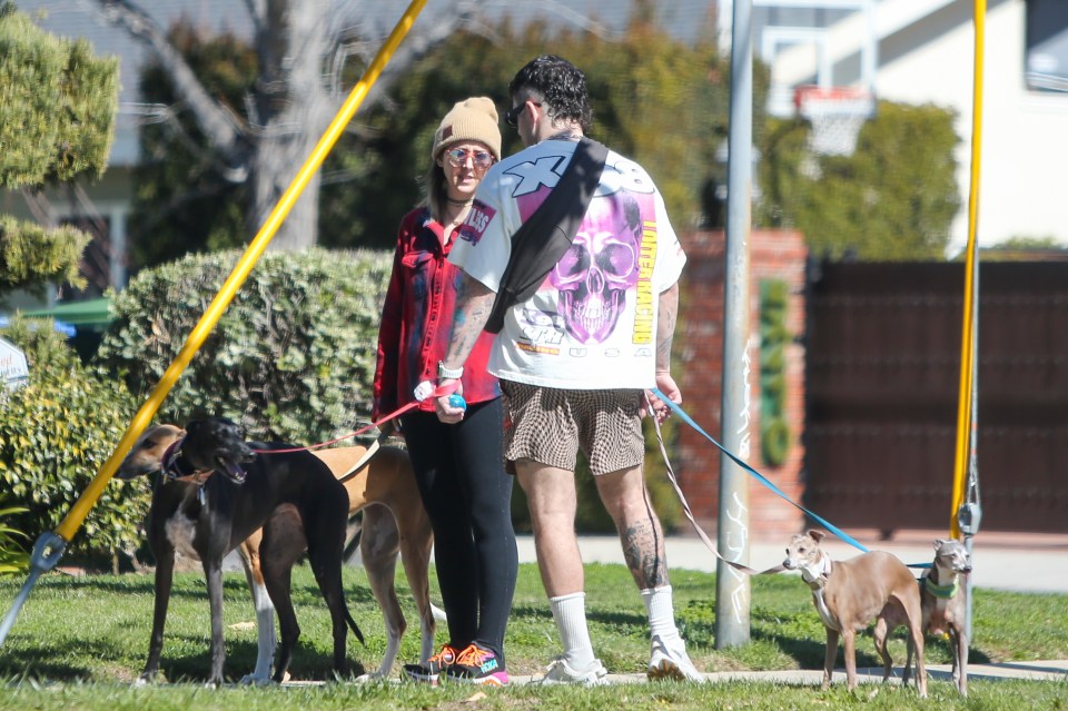 Jenna Marbles and Julien Solomita walking their dogs.