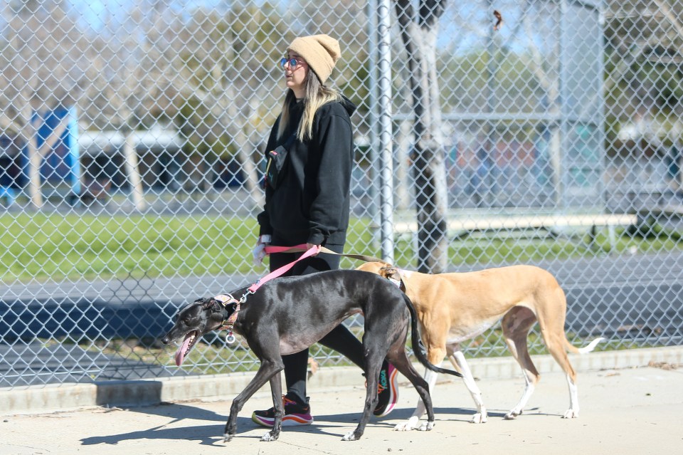 Jenna Marbles walking two greyhounds.