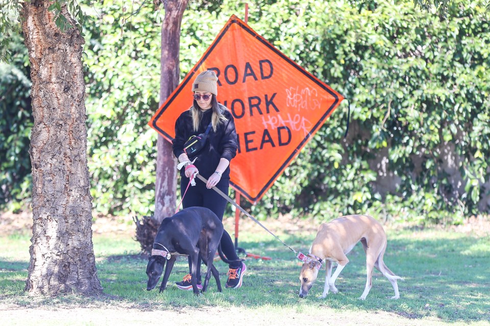 Jenna Marbles walking two dogs in Los Angeles.