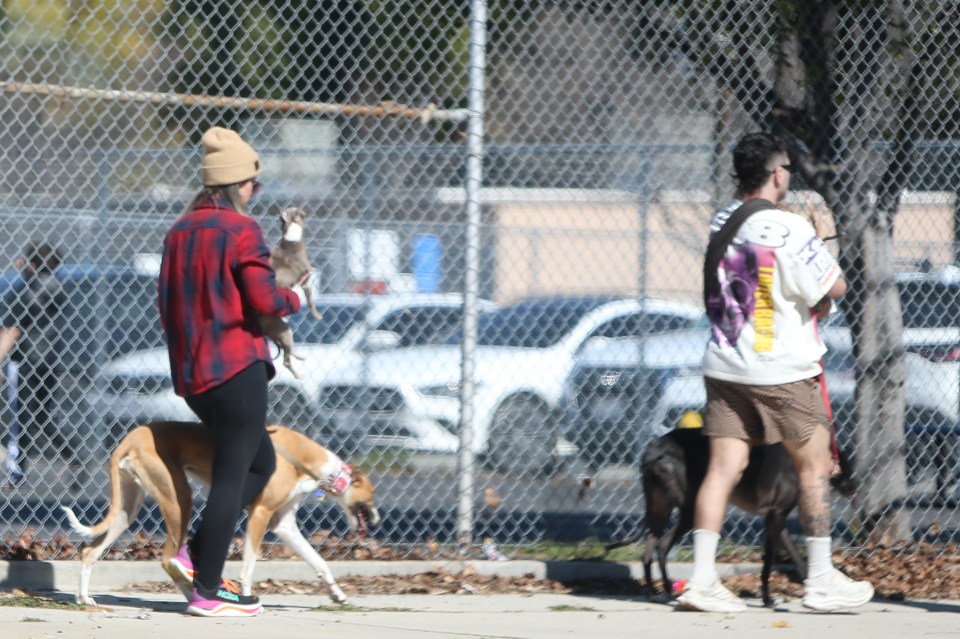 Jenna Marbles and Julien Solomita walking dogs.