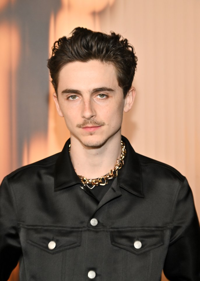 Timothée Chalamet at the 97th Annual Academy Awards Nominees Dinner.