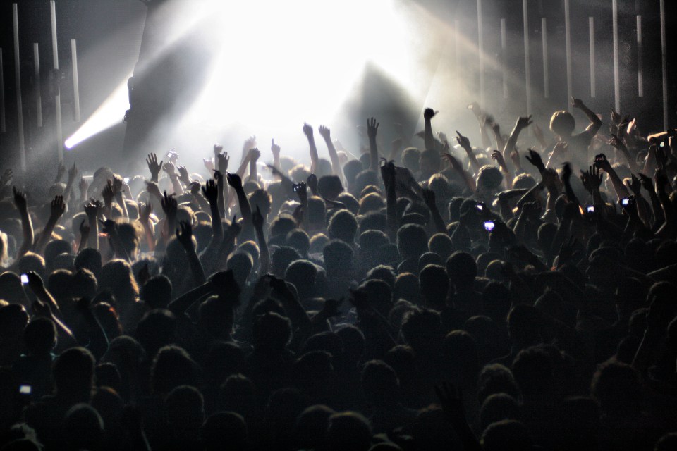 Large crowd at a concert with raised hands.