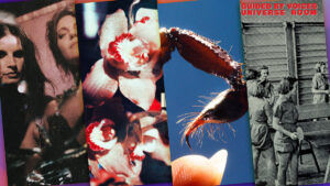 8 New Albums to Stream Today: Sharon Van Etten, Squid