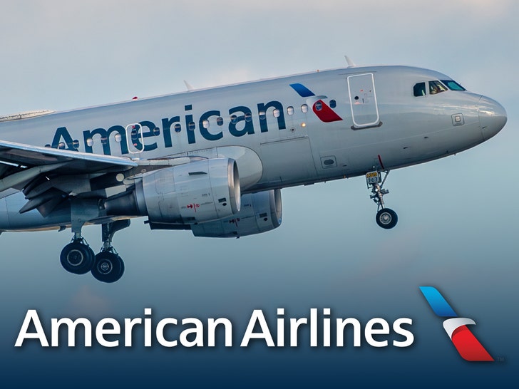 american airlines plane 1