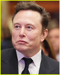 Ashley St. Clair Sues Elon Musk for Sole Custody of His 13th Child