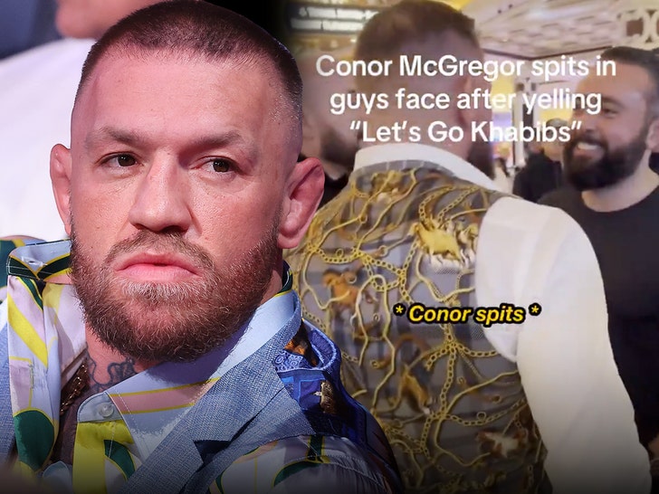 conor mcgregor spits on man getty 1