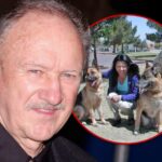 gene hackman dogs getty main composite