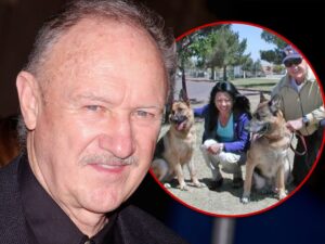 gene hackman dogs getty main composite