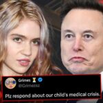 grimes elon musk tweet main getty composite