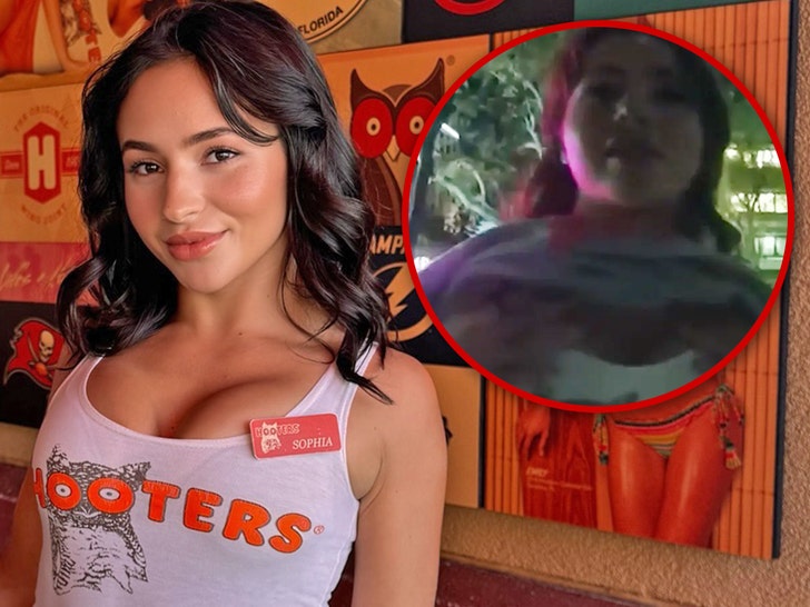 sophia gabrielle ross hooters arrest