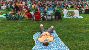 Live Nation Discontinues Lawn Pass, Promises Replacement