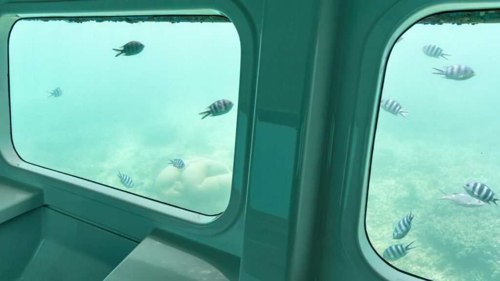 underwater room with view of fish