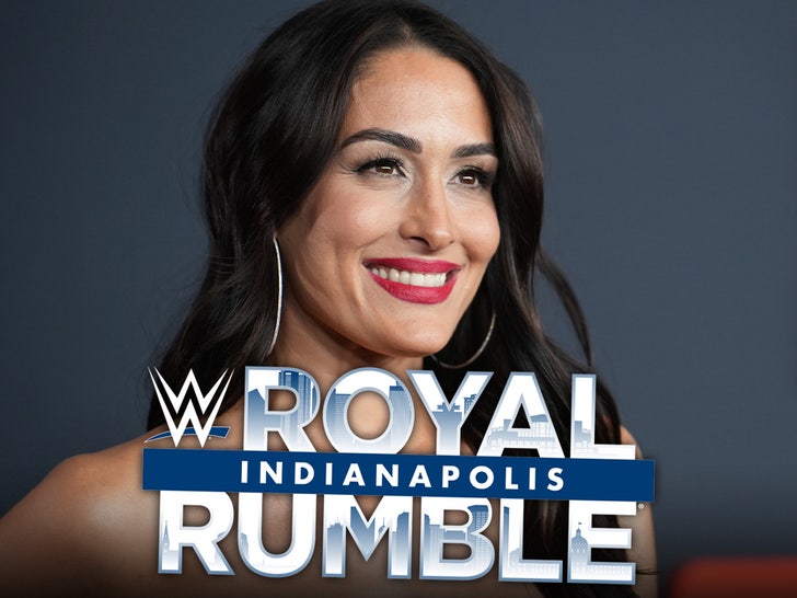 nikki. bella wwe main alt getty