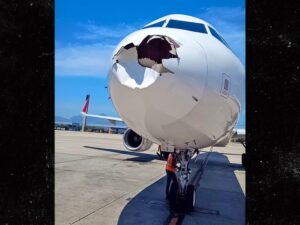 plane forced to land after birdstrike 1