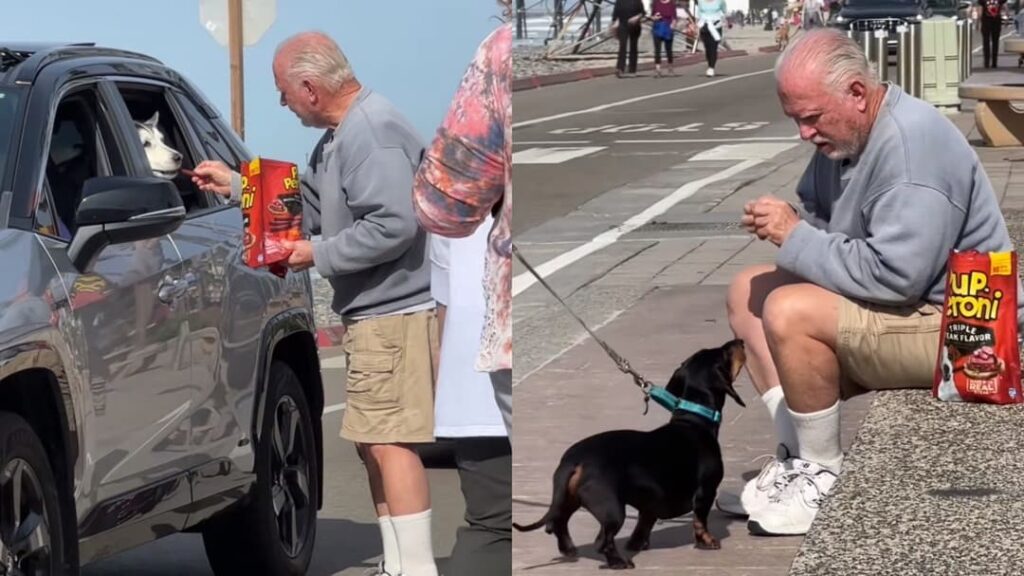 Retired man leaves viewers “hysterically crying” over viral dog video