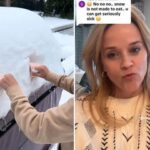 See Moment Reese Witherspoon Tells Lexi Minetree She's Cast as Elle Woods for Legally Blonde Series